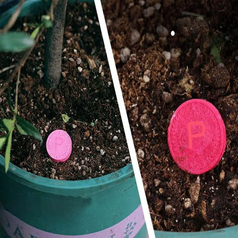 Revive Dead Plants - Image 4